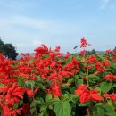 차만술행정사사무소 이미지