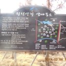 서달로 이미지