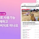 펫온