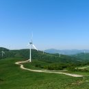 대관령 하루 이미지