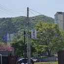 로얄알버트앤슬리사업부 | [공지] Wedding #11: 신혼 혼수그릇(광주요 '담'시리즈 6인 set 구매 후기) | 모드니 구경&백화점 투어