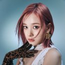 재이퍼스트