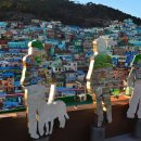 미인장수 이미지