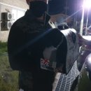 루시캣 | 고양이 분양 후기 루시캣