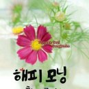 좋은인연 Daum카페