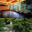 자연온천여관 이미지