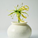 달의케이크 | 우나하우스 UNAHAUS : 달항아리케이크 후기 (압구정현대백화점)