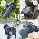 오봉제 | 니콘 미러리스 카메라와 함께한 2023년 사진 여행 리뷰 Z 9 / Z 7II / Z 6II / Z fc