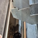 창녕대로 이미지