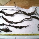 월영동017 이미지