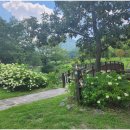 운곡지구 공원 이미지