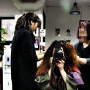 미 헤어클럽 - 미추홀구 | 미 헤어클럽