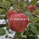 모싯골농장 이미지