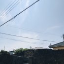 오그집