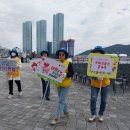 서구지구협의회 의료관광 축제에서 헌혈캠페인 & 충무동봉사회 가을축제 봉사 이미지