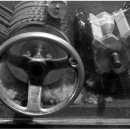 자생초농장 이미지