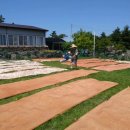 천연염색길 이미지