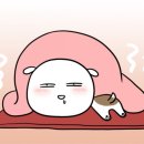 하니앤손스 이미지