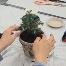 비단향꽃무 | [공지] 여주 미술 출강 후기｜여주청년활동지원센터와 함께하는 한밤의 아틀리에:: 마지막 미술 동아리...