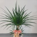 신한세차장 이미지