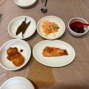 쌍둥이네 애견 이미지