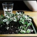 공방가자카페
