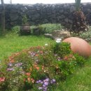 다와카페 이미지