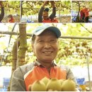 김규철농장 이미지