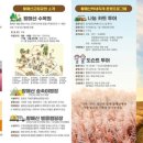 황매산 억새축제 이미지