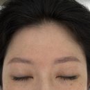 테일디뷰티