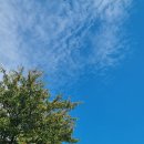 제주관광대학 컨벤션홀 | 제주 애월읍 쌈밥정식 맛집 _ 제주관광대 컨벤션홀 앞 예동산 식당