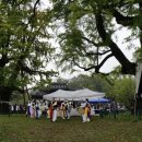 마을 지킴이 나무 돌보는 '당산나무 할아버지' 62명 이미지