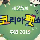 코리아펫 네이버블로그