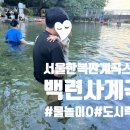 백련가든 | 서울 도심 계곡 접근성 좋은 숨은 물놀이 명소 백련사계곡