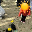 리센트커피 | 🚗 주말 나들이 어디로? 아이와 함께하는 힐링 여행지 (경기도 안성편)