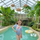 메트로펜션 | 아이와 첫 제주여행 숙소🍊| 와흘972 펜션 내돈내산 후기 (독채·온수풀)