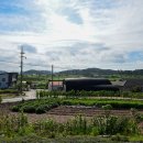 송림민박 이미지