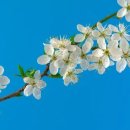 다선한의원 이미지