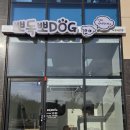 뽀독뽀DOG 이미지