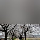 웅희농장 네이버블로그