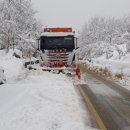 기동반-48 이미지