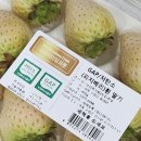 하얀딸기 피치베리 파는 곳, 무슨 맛일까?