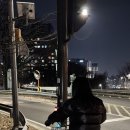가성빛피자 이미지