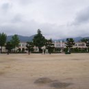 자천초교 이미지