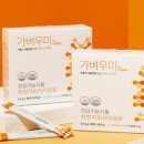 피누스스토어글로벌 이미지
