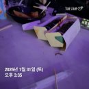 (주)그루비테이블 | [260131] 2026 FIRST MUSIC STATION - 고양 후기 / 밴드가 최고야 🔥