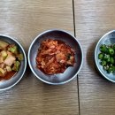 진선배국수