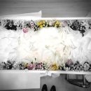 강원특별자치도속초의료원 이미지