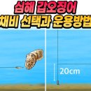 낚시왕 로빈 - 갑오징어 채비 단차 5~20cm 이미지