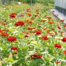 종연농장 이미지